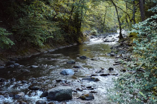 Belle Rivière Montagne Dans Forêt — Photo