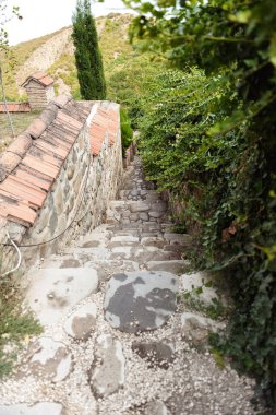 Parktaki eski ahşap bank