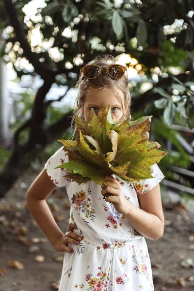 Дівчина Тримає Осіннє Листя Дивиться Камеру Парку — стокове фото