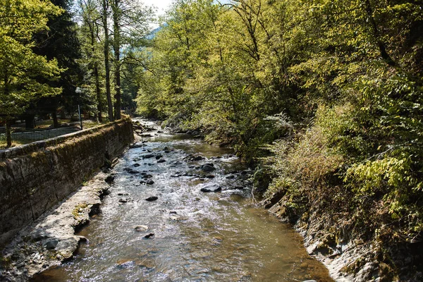 Krajina Horské Řeky Borjomi — Stock fotografie