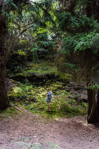Ormanda Yürüyen Küçük Kız — Stok fotoğraf