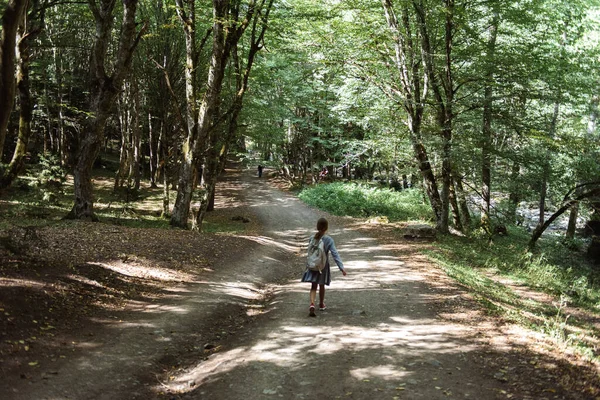 Petite Fille Marchant Dans Les Bois — Photo