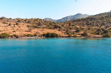 Deniz koyunun güzel doğası