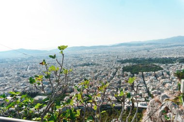 Şehrin en üst manzarası