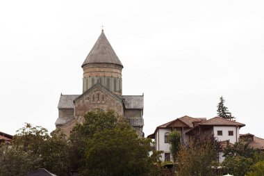 Georgia doğası, ağaçlar, evler