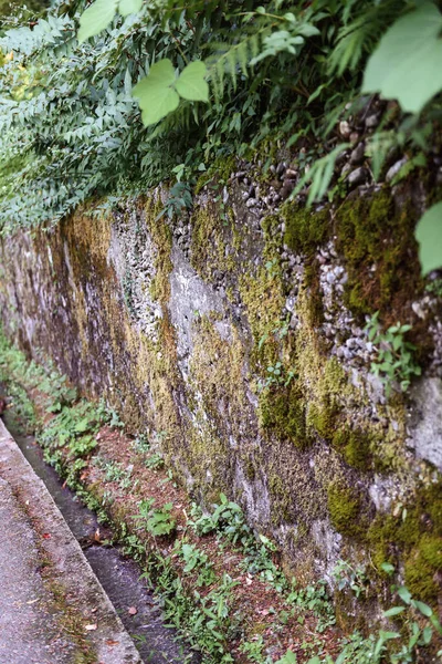 Dinding Taman Ditumbuhi Lumut — Stok Foto