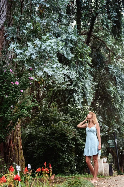 Mädchen Steht Unter Einem Riesigen Baum Park — Stockfoto