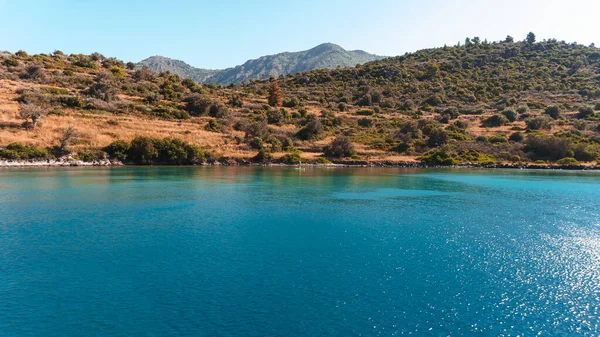 Deniz koyunun güzel doğası