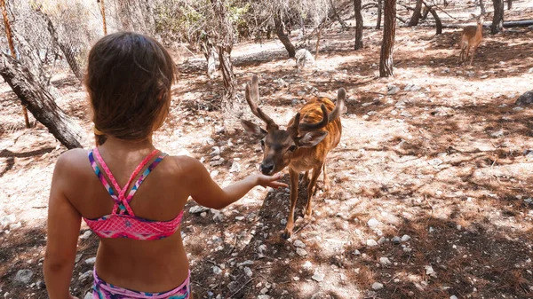 Ragazza Che Nutre Cervi Isola — Foto Stock