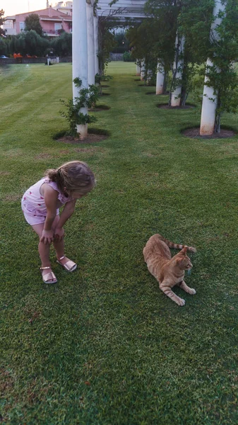 Menina Brincando Com Gato Grama — Fotografia de Stock