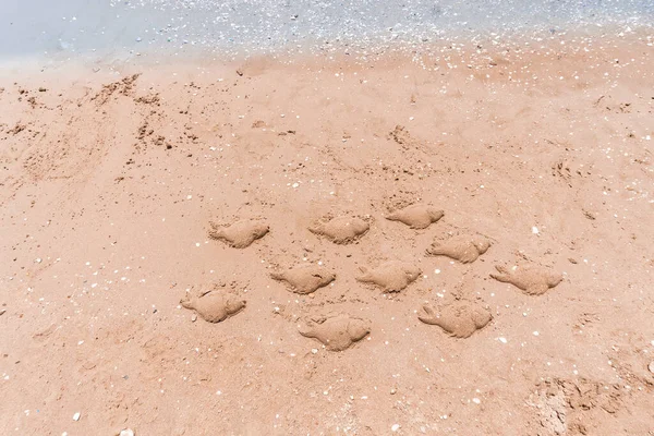 Sand Figures Form Fish Sea — Stock Photo, Image