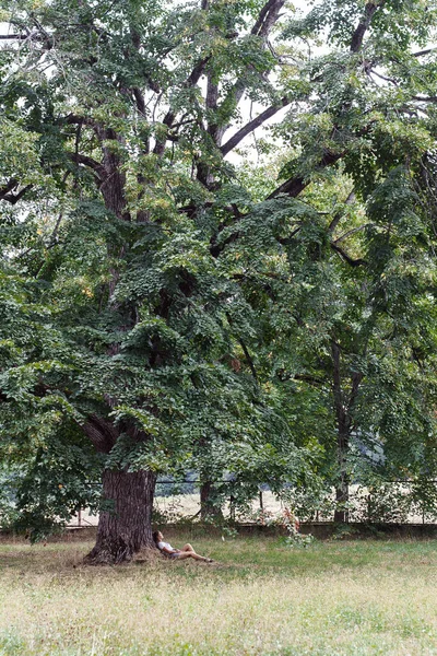 Fille Couchée Dans Parc Près Arbre — Photo