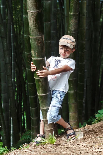 Küçük Çocuk Bambu Parkında Yürüyor — Stok fotoğraf