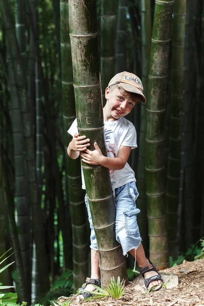 Küçük Çocuk Bambu Parkında Yürüyor — Stok fotoğraf