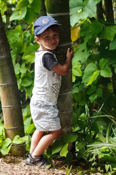 Niño Pequeño Caminando Parque Bambú — Foto de Stock