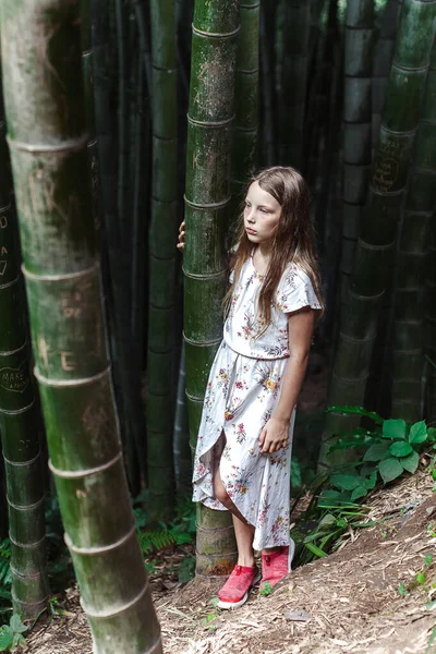 Маленька Дівчинка Гуляє Бамбуковому Парку — стокове фото