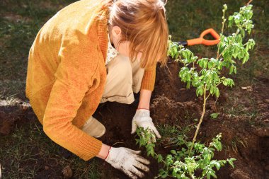 Evinin yakınına ağaç diken kadınlar.
