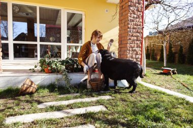 Evin terasına çiçek eken bir kadın. Labrador yakınlarda oturuyor.