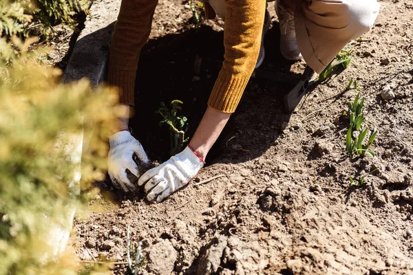 Mujer Plantando Flores Cerca Casa — Foto de Stock