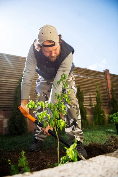 Man planting trees near his house