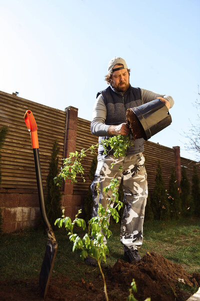 Man planting trees near his house