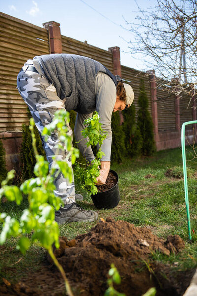 Man planting trees near his house
