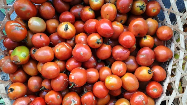 Tomato pile red tomatoes vegetable farm fresh inside rattan basket — Stock Photo, Image