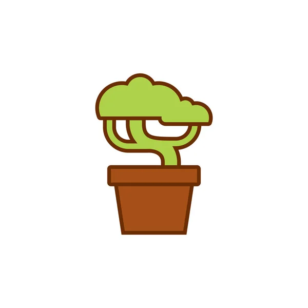 Bonsai tree plant flat icon symbol illustration — Stock Vector