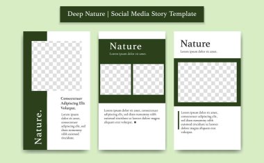 Dark green jungle color social media story template vector with photo frame simple elegant minimalist style