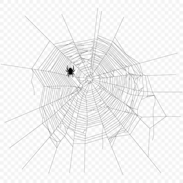 Cobweb vector elemento decorativo. Araña arrastrándose. Objeto Spiderweb sobre fondo aislado . — Vector de stock