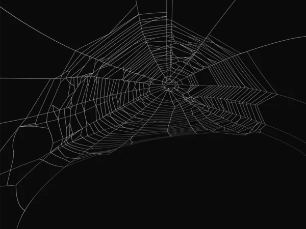 Cobweb vector elemento decorativo. Objeto Spiderweb sobre fondo aislado . — Vector de stock