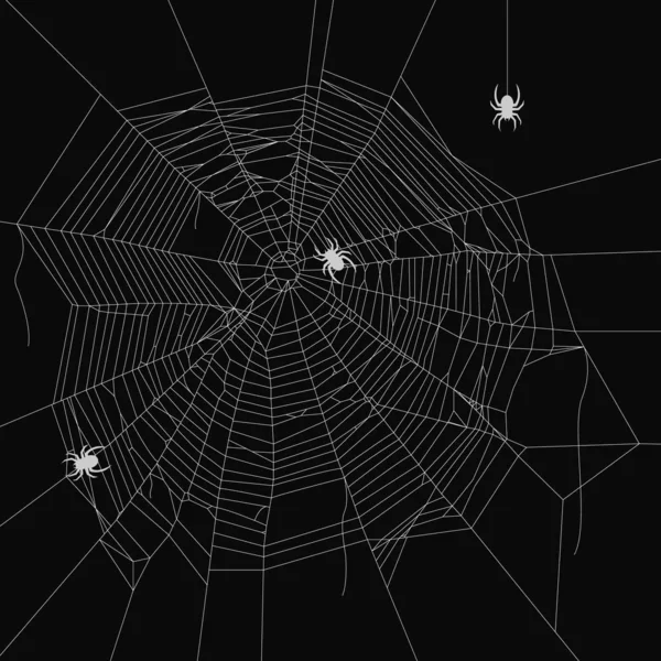 Векторный декоративный элемент паутины. Ползучий паук. Spiderweb объект на изолированном фоне . — стоковый вектор