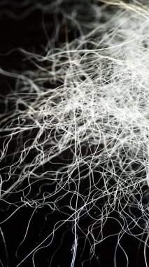 Üretim için ham maddeler. Köpek deve tüyü yakın çekim makro.