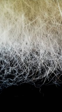 Üretim için ham maddeler. Köpek deve tüyü yakın çekim makro.