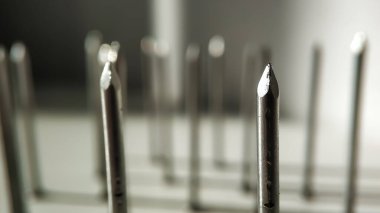 Ön planda yakın planda bir tırnak var. Bir grup tırnağın arka planına karşı. Bölük lideri. Toplumda dışlanmış.