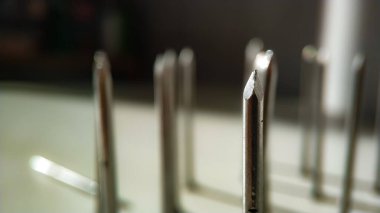 Ön planda yakın planda bir tırnak var. Bir grup tırnağın arka planına karşı. Bölük lideri. Toplumda dışlanmış.