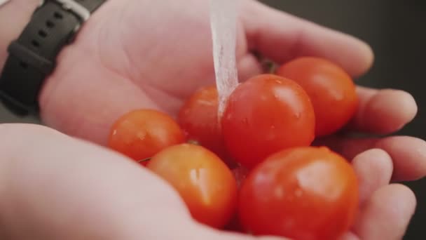 Primer plano cocinero hombre lavado de tomates frescos — Vídeos de Stock