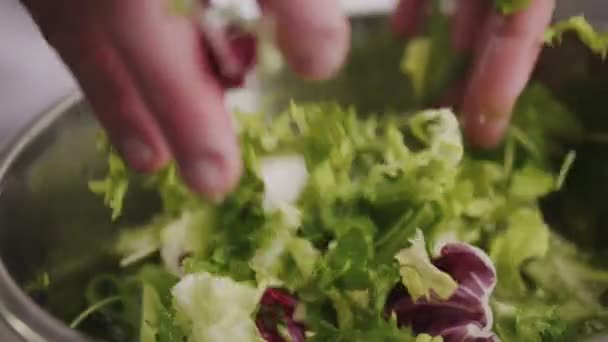 Primer plano cocinero hombre lavado lechuga fresca ensalada mezcla — Vídeos de Stock