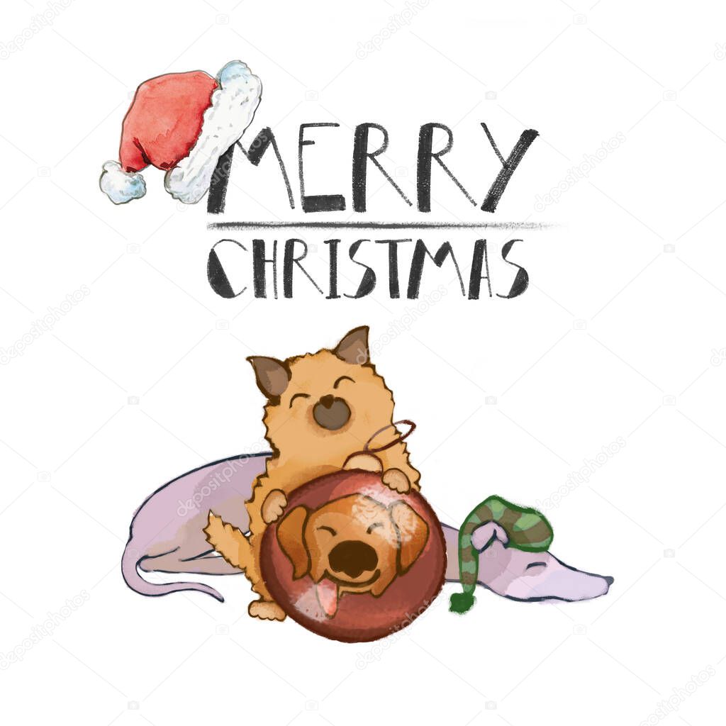 Merry Christmas. cute little dogs isolated on white background. card for the new year. Spitz, Italian Greyhound