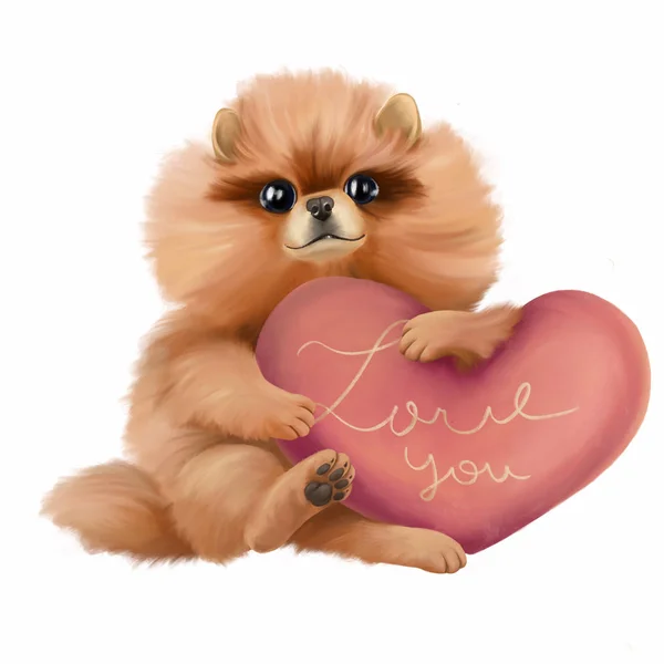 Κόκκινο σκυλί ράτσα Spitz. Χαριτωμένο κουτάβι με μια καρδιά στα πόδια του. Η απεικόνιση είναι απομονωμένη σε λευκό φόντο. βαλεντίνη — Φωτογραφία Αρχείου