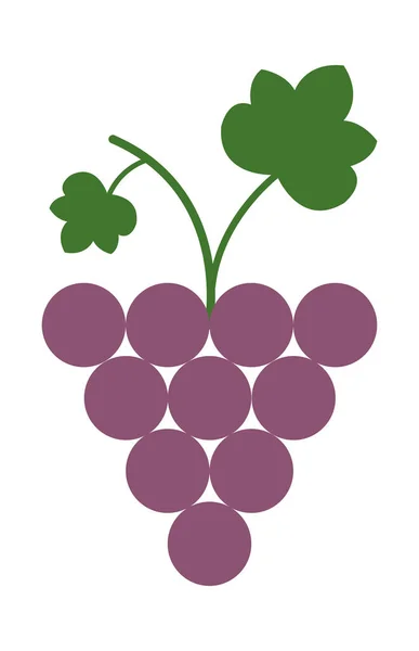 Icon Bunch Color Grapes Vector Illustration — Stock Vector