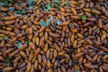 Böcek Tayland kızarmış.