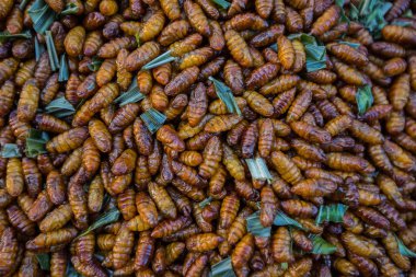 Böcek Tayland kızarmış.