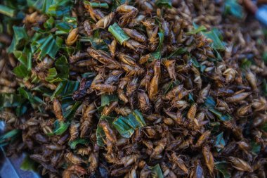 Böcek Tayland kızarmış.