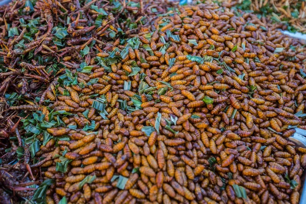 Жареные насекомые Таиланд . — стоковое фото