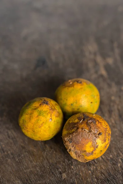 Fruta de mandarina podrida y fresca con moho . — Foto de Stock