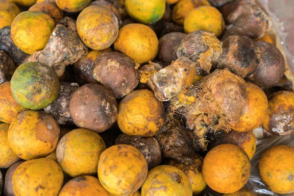 Гнилые и свежие мандариновые фрукты с плесенью . — стоковое фото