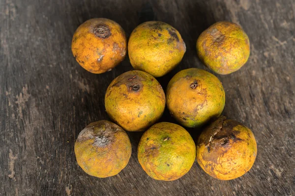 Çürük ve taze mandalina meyve ile kalıp.