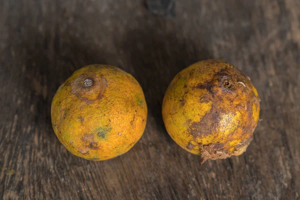 Çürük ve taze mandalina meyve ile kalıp.