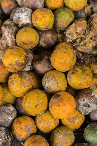 Çürük ve taze mandalina meyve ile kalıp.